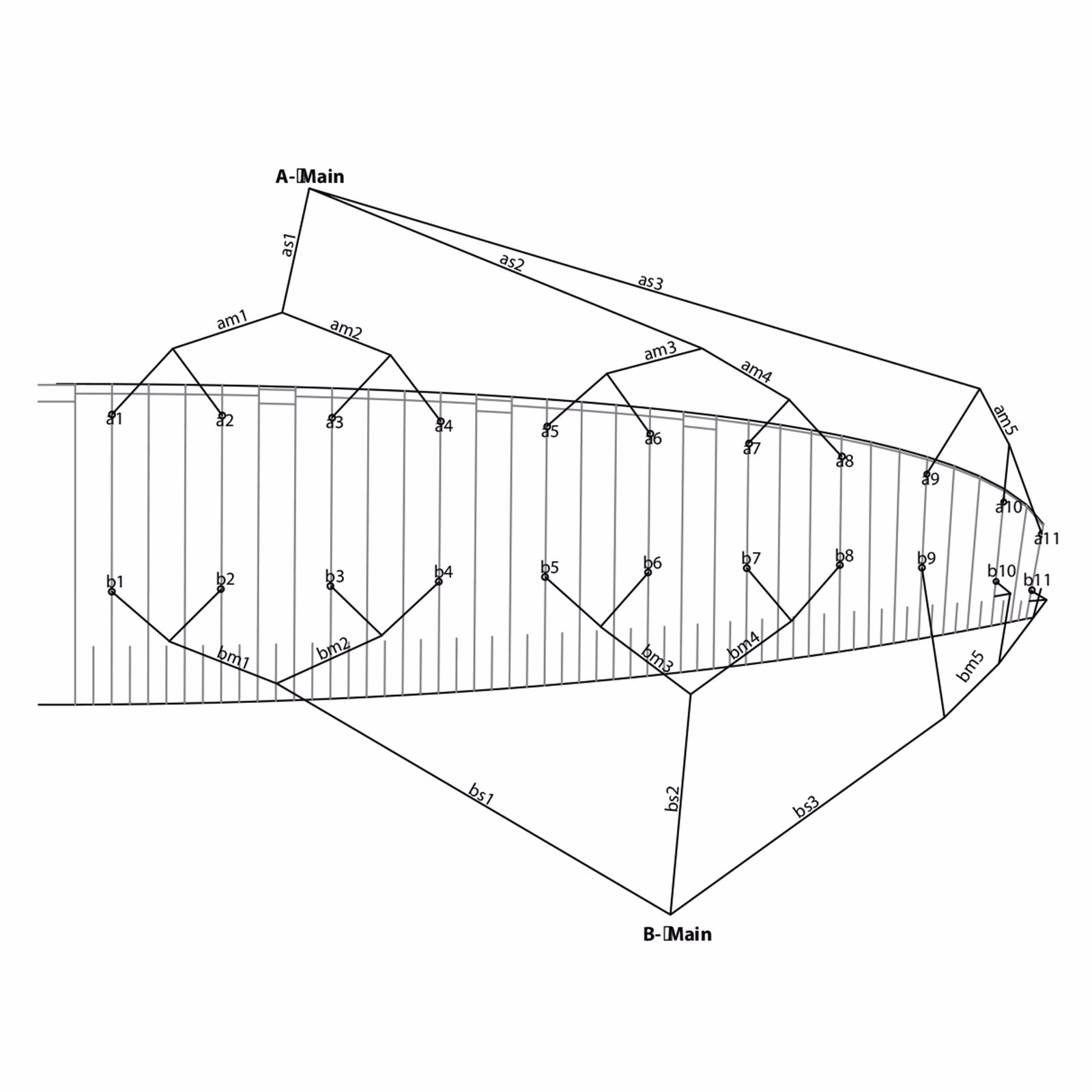 VMG3 Competition Bridle Line Set